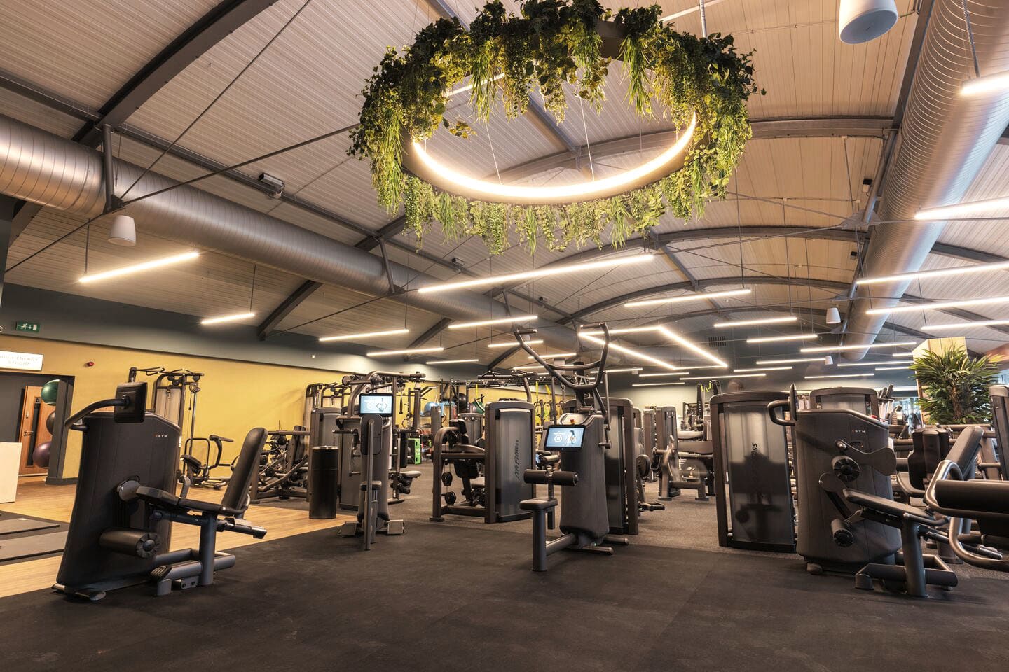 Gym at David Lloyd Clubs